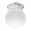 LISILUX ceiling-mounted fitting with opal glass globe 100 W